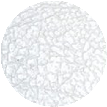 Traditional Non-Woven material swatch