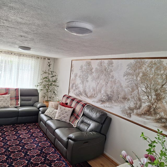 Customer photo — sepia landscape mural in a living room